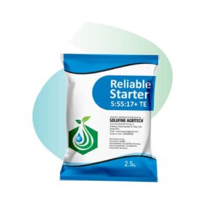 Reliable-Starter